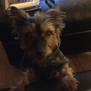 Meet your Posher, Johanna